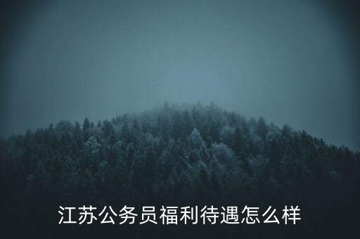 江蘇公務(wù)員福利待遇怎么樣