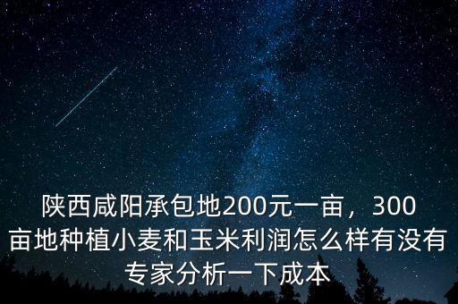 陜西咸陽承包地200元一畝，300畝地種植小麥和玉米利潤怎么樣有沒有專家分析一下成本