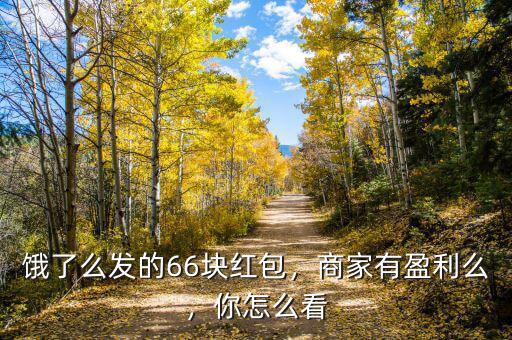 餓了么發(fā)的66塊紅包，商家有盈利么，你怎么看