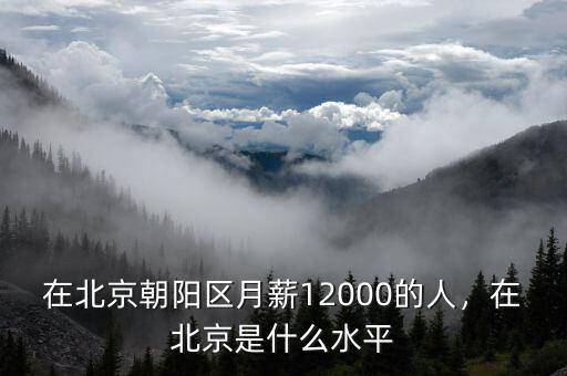 在北京朝陽區(qū)月薪12000的人，在北京是什么水平