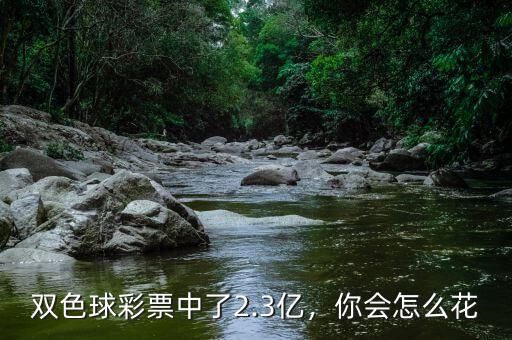 雙色球彩票中了2.3億，你會(huì)怎么花