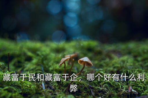 藏富于民要等到什么時候,藏富于國的漢朝