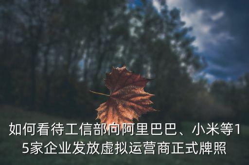 如何看待工信部向阿里巴巴、小米等15家企業(yè)發(fā)放虛擬運(yùn)營(yíng)商正式牌照