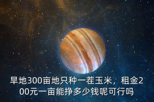 旱地300畝地只種一茬玉米，租金200元一畝能掙多少錢呢可行嗎