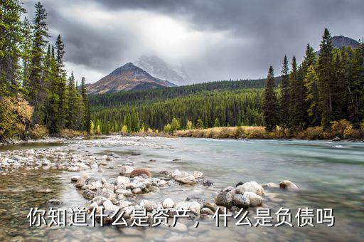 你知道什么是資產(chǎn)，什么是負(fù)債嗎