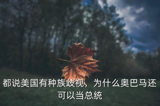 都說美國有種族歧視，為什么奧巴馬還可以當(dāng)總統(tǒng)