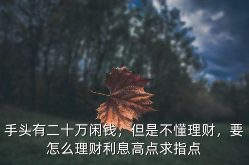 手頭有二十萬閑錢，但是不懂理財，要怎么理財利息高點求指點