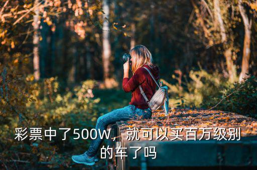 我中了6000萬(wàn)買什么車,要是彩票中了300萬(wàn)