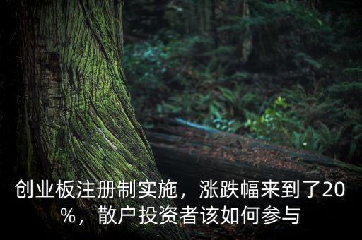 創(chuàng)業(yè)板注冊(cè)制實(shí)施，漲跌幅來(lái)到了20%，散戶投資者該如何參與