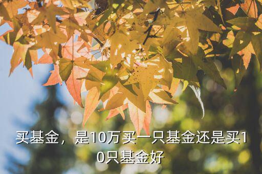 買(mǎi)基金，是10萬(wàn)買(mǎi)一只基金還是買(mǎi)10只基金好