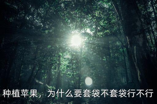 種植蘋(píng)果，為什么要套袋不套袋行不行