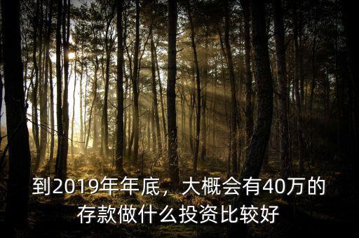 到2019年年底，大概會(huì)有40萬(wàn)的存款做什么投資比較好