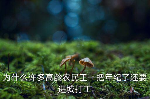 為什么許多高齡農(nóng)民工一把年紀了還要進城打工