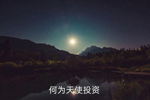 天使投資人什么意思,什么是天使投資人