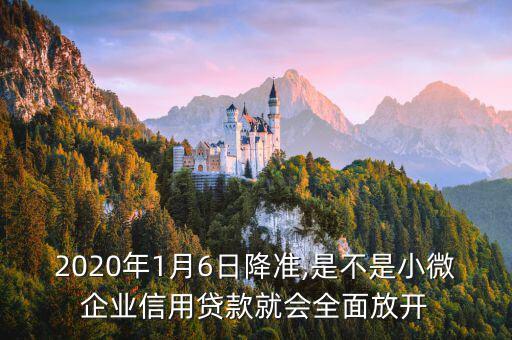 2020年1月6日降準,是不是小微企業(yè)信用貸款就會全面放開