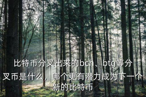 比特幣分叉出來的bch、btg等分叉幣是什么，哪個更有潛力成為下一個新的比特幣