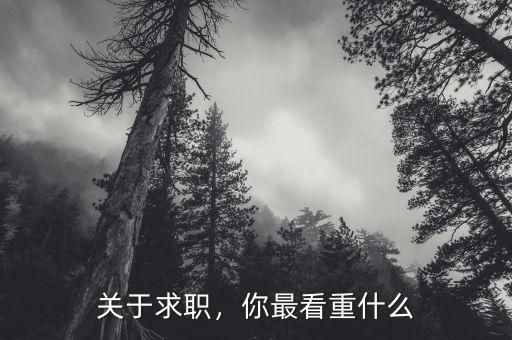 關(guān)于求職，你最看重什么