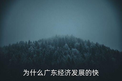 為什么廣東經(jīng)濟(jì)發(fā)展的快