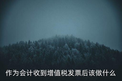 作為會計收到增值稅發(fā)票后該做什么