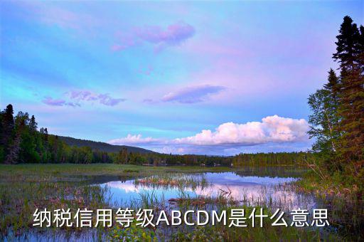 江蘇國稅信用評級是什么，納稅信用等級ABCDM是什么意思