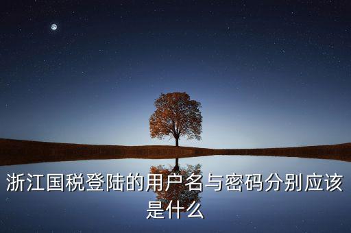 浙江省網(wǎng)上稅務局賬號是什么，電子稅務局賬號是什么號碼