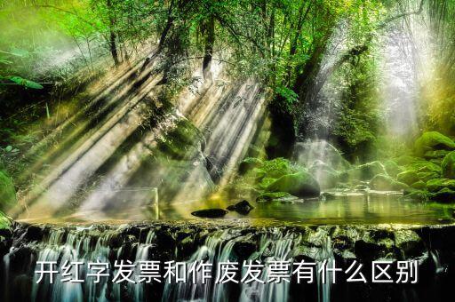 開紅字發(fā)票和作廢發(fā)票有什么區(qū)別