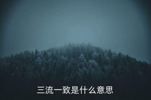 發(fā)票 流向一致是什么意思，發(fā)票四流一致是哪四流