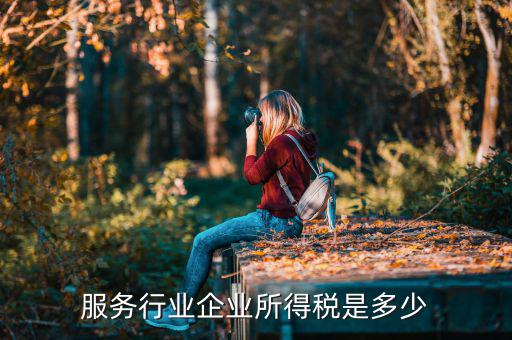 什么是接受服務(wù)企業(yè)所得稅，服務(wù)行業(yè)企業(yè)所得稅是多少