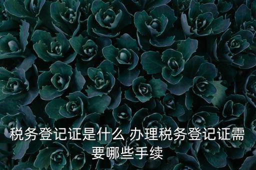 地稅局登記是什么，地稅辦理稅務(wù)登記需要哪些資料