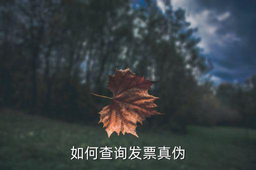 查驗發(fā)票需要什么信息，發(fā)票怎么去稅務局驗證需要什么資料