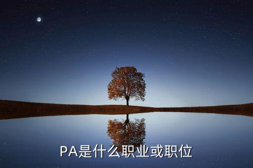 河南省國稅局陳紅偉什么職務(wù)，PA是什么職業(yè)或職位