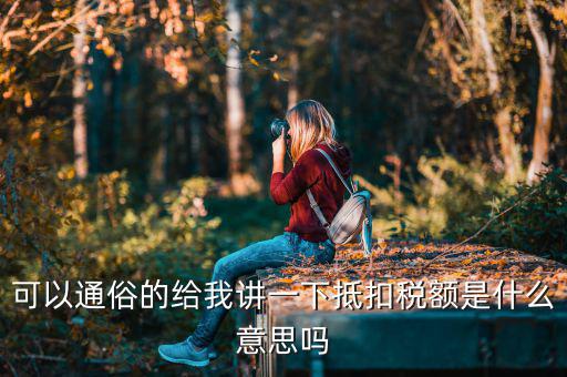 可以通俗的給我講一下抵扣稅額是什么意思嗎