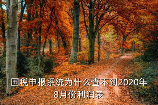 國(guó)稅申報(bào)系統(tǒng)為什么查不到2020年8月份利潤(rùn)表