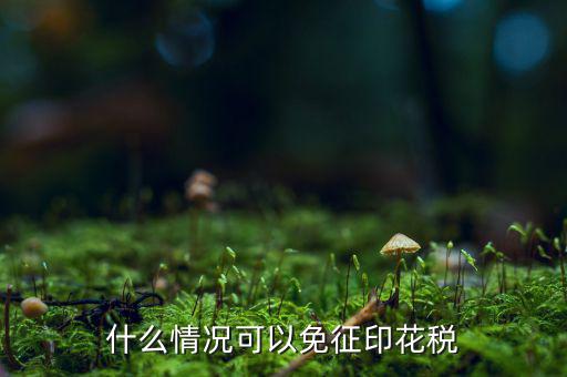 印花稅免稅是什么政策規(guī)定，什么情況可以免征印花稅