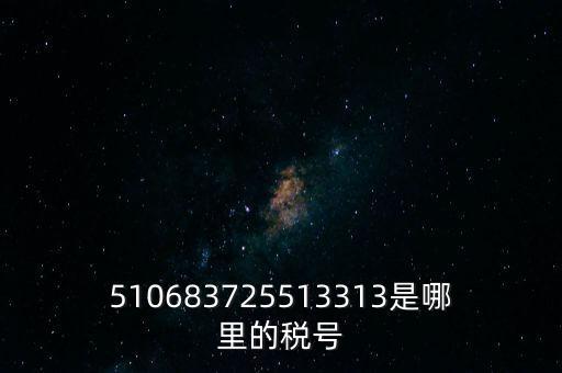 陜西省地方的稅號開頭是什么，510683725513313是哪里的稅號