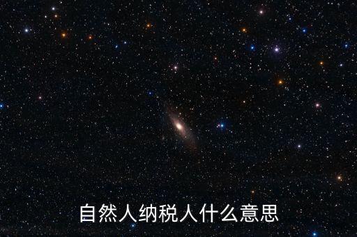 登記稅務(wù)的自然人是什么意思，請問一下自然人登記是什么意思