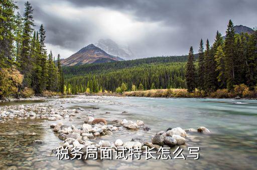 稅務(wù)局看重什么特長(zhǎng)，稅務(wù)局面試特長(zhǎng)怎么寫