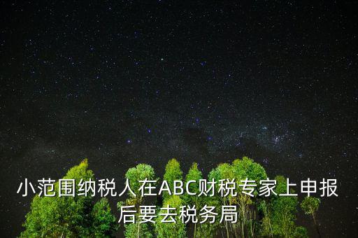 財稅專家是報什么稅，小范圍納稅人在ABC財稅專家上申報后要去稅務局