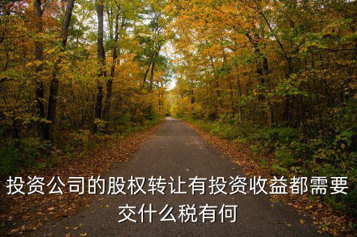 投資公司要交什么稅，投資集團(tuán)公司如何繳稅