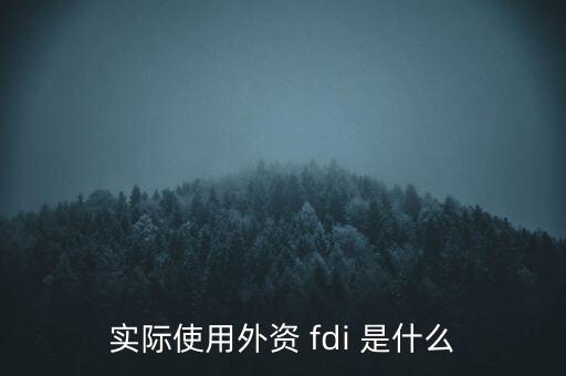 實際使用外資 fdi 是什么