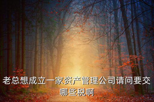 老總想成立一家資產(chǎn)管理公司請問要交哪些稅啊