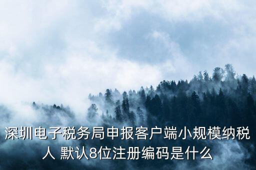 深圳電子稅務(wù)局申報(bào)客戶端小規(guī)模納稅人 默認(rèn)8位注冊(cè)編碼是什么