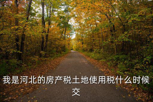 河北地稅申報(bào)后什么時(shí)候繳費(fèi)，我是河北的房產(chǎn)稅土地使用稅什么時(shí)候交