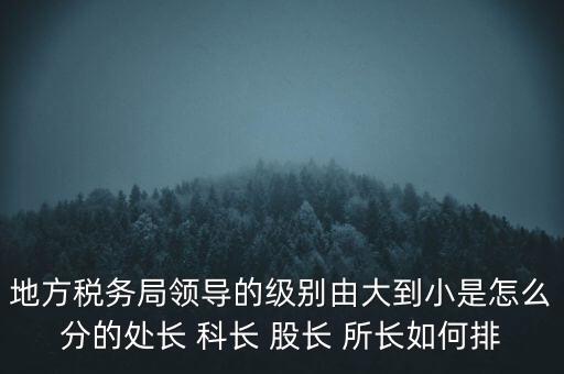 地方稅務(wù)局領(lǐng)導(dǎo)的級(jí)別由大到小是怎么分的處長 科長 股長 所長如何排