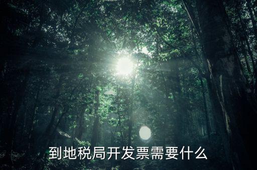 到地稅局開發(fā)票需要什么