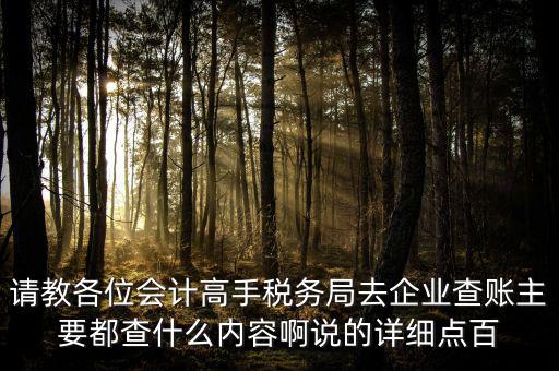 請教各位會計高手稅務局去企業(yè)查賬主要都查什么內(nèi)容啊說的詳細點百