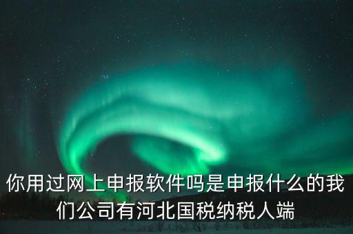 企業(yè)申報客戶端是什么，你用過網(wǎng)上申報軟件嗎是申報什么的我們公司有河北國稅納稅人端