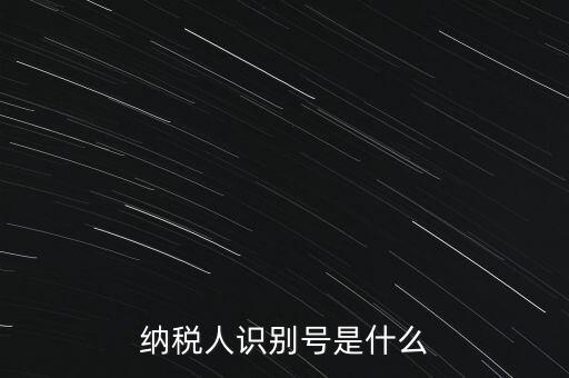 山西國稅納稅人識別號是什么，納稅人識別號是什么