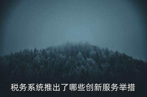 稅務系統(tǒng)推出了哪些創(chuàng)新服務舉措