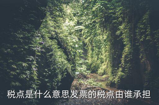 稅點由什么決定，稅點是什么意思